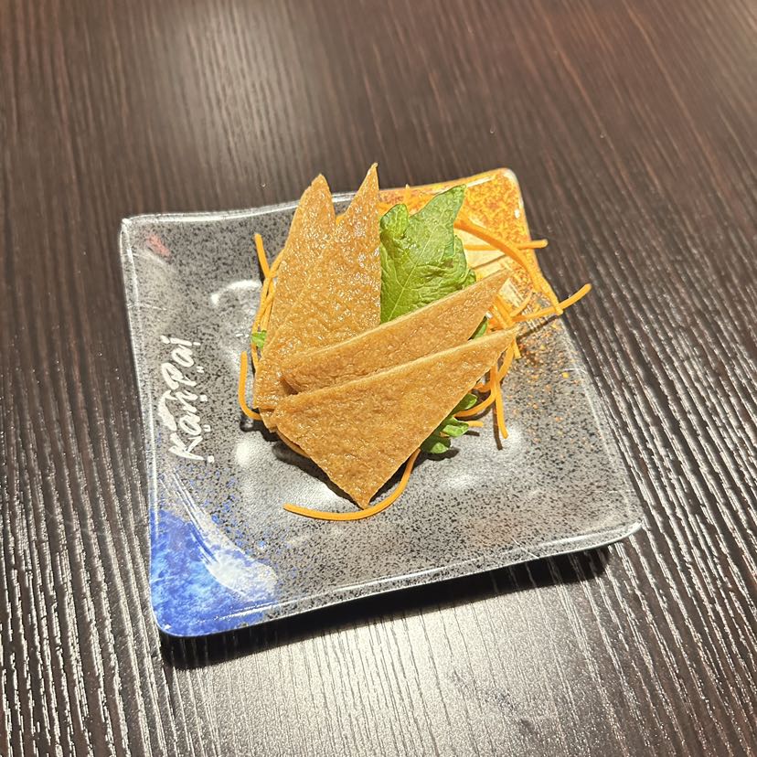 Tofu Skin